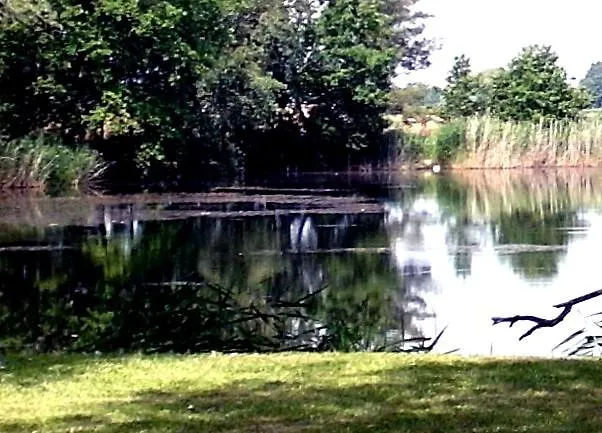 아파트 Im Kunst.haus Am